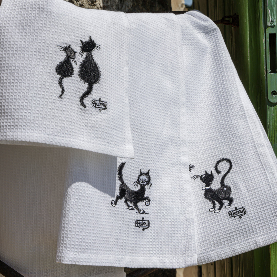 Tris Canovacci Gattino